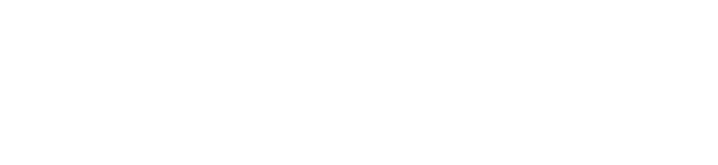 Meddo Health Logo (Landscape)
