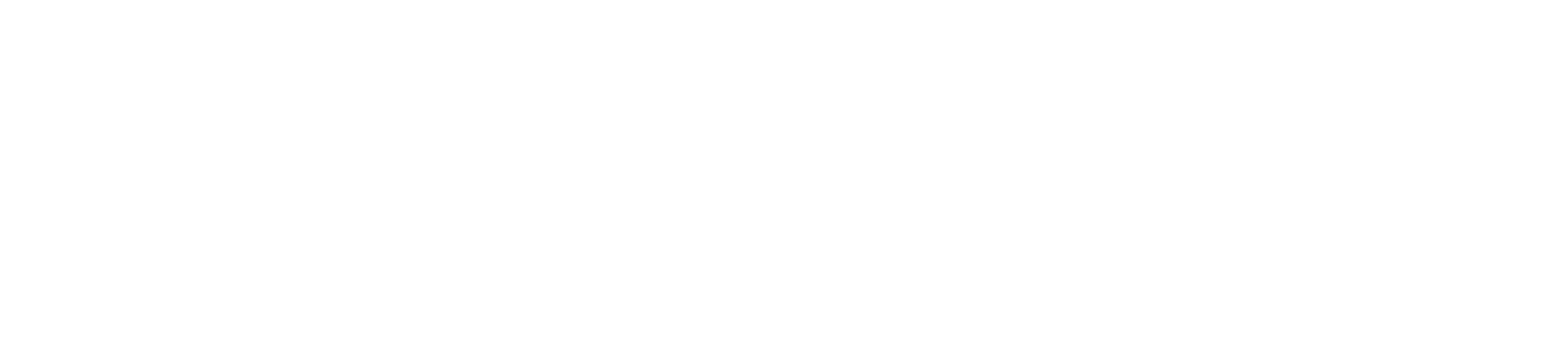 Meddo Health Logo (Landscape)